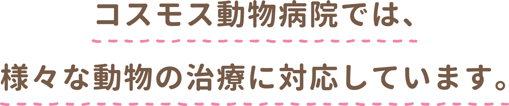 コスモス動物病院では様々な動物の診療に対応しています