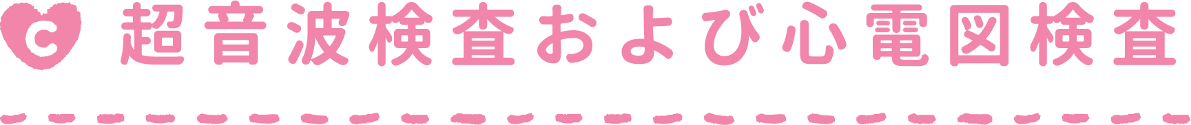 超音波検査および心電図検査