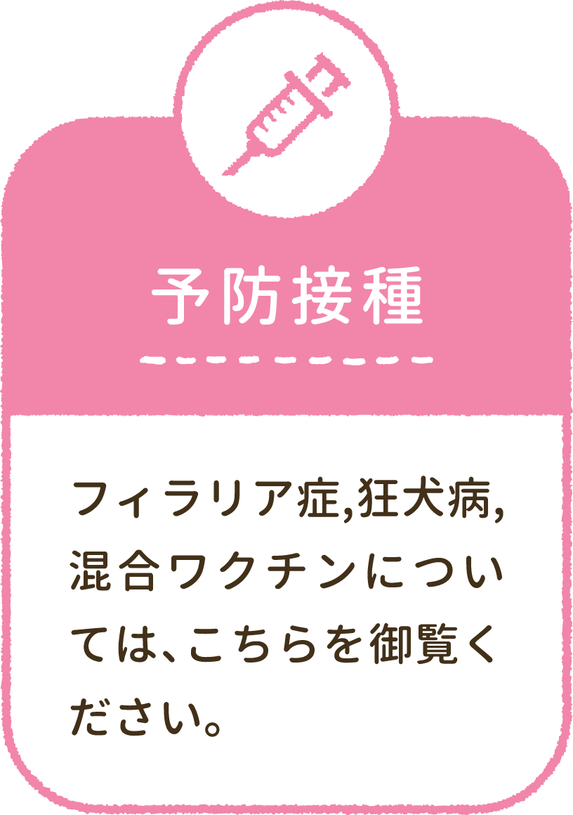 予防接種:フィラリア症,狂犬病,混合ワクチンについては、こちらを御覧ください