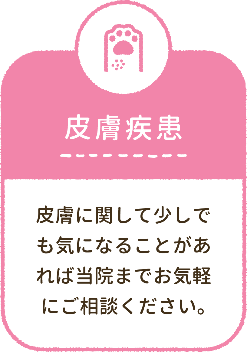 皮膚疾患：皮膚に関して少しでも気になることがあれば当院までお気軽にご相談ください。