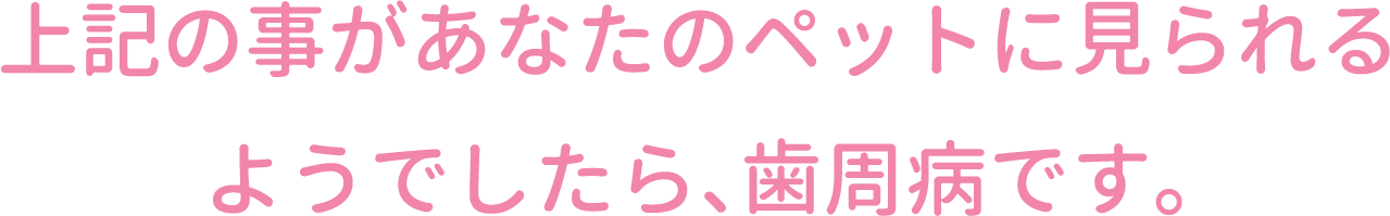 上記の事があなたのペットに見られるようでしたら、歯周病です。