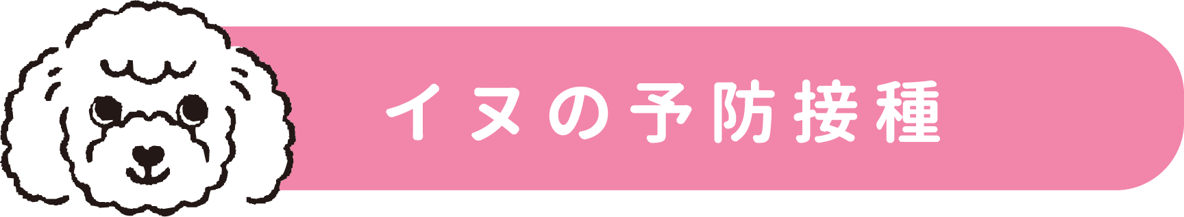 犬の予防接種