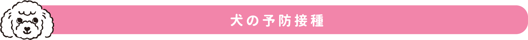 犬の予防接種