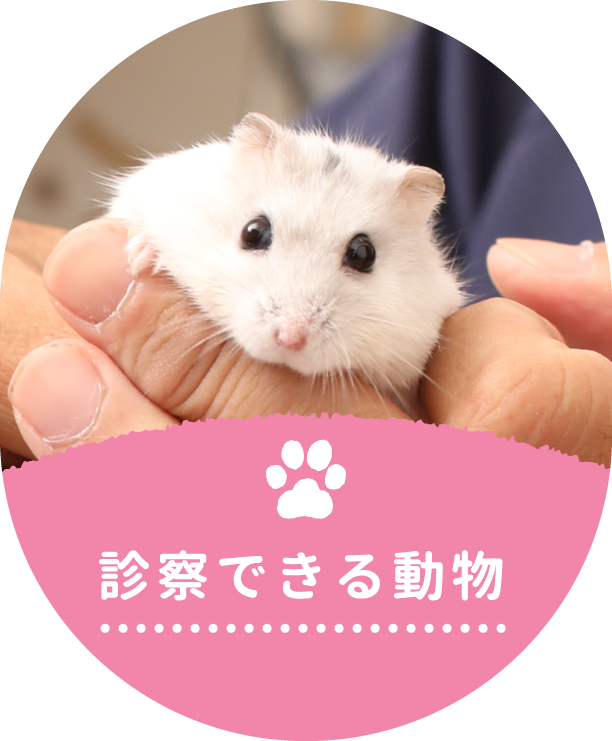 診療できる動物