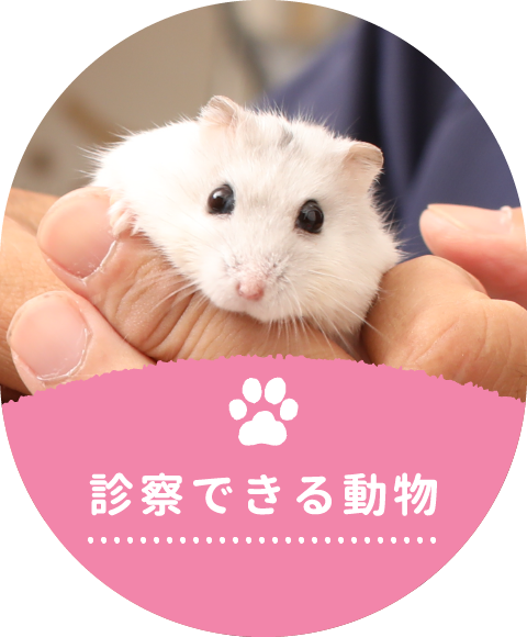 診療できる動物