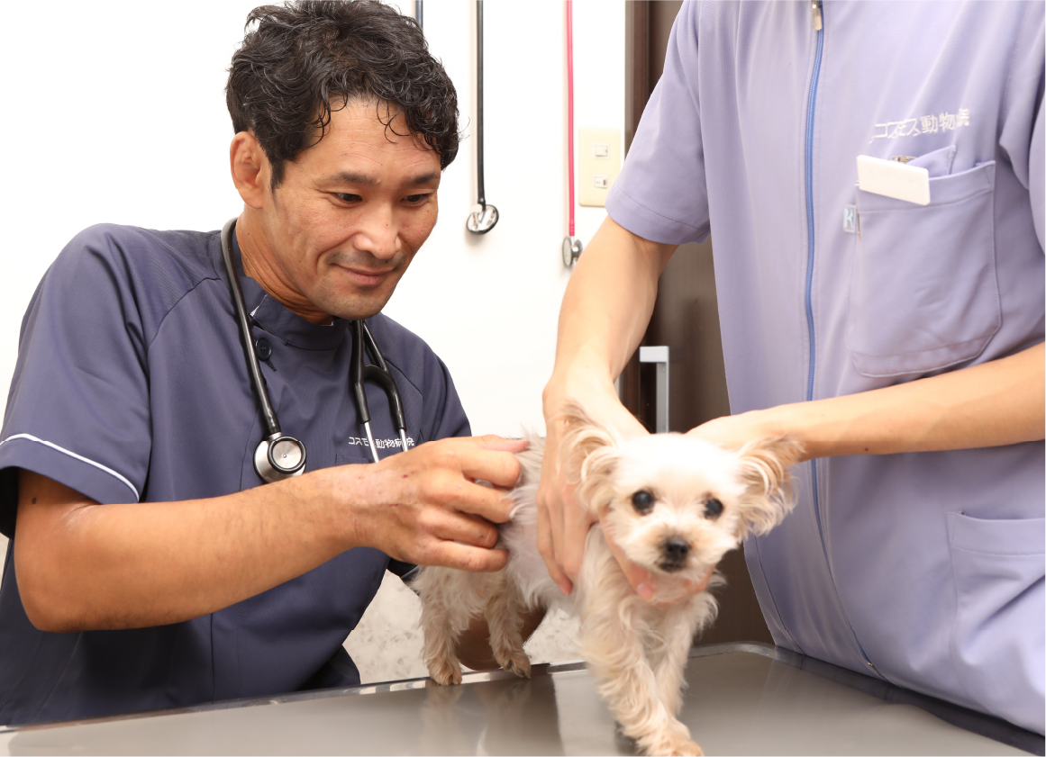 犬を診る獣医師の先生