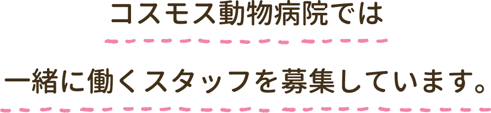 コスモス動物病院では
一緒に働くスタッフを募集しています。