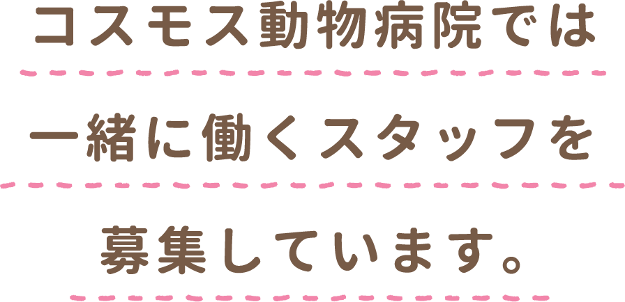 コスモス動物病院では
一緒に働くスタッフを募集しています。