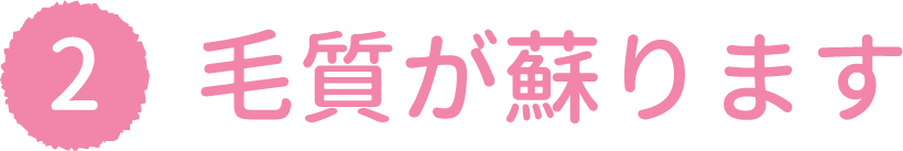 毛質が蘇ります